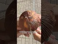 Download Lagu Ik heb het meest UNIEKE ijs van China geprobeerd 🇨🇳🥥