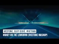 Vicetone, Elley Duhe, Whethan- Lowdown X Money on The Dash Mashup [2023]
