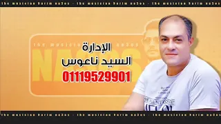 أغنية ألف خسارة عليكى يا دنيا حماده الأسمر لا تنسوا الإشتراك فى القناة وتفعيل الجرس Roma Café 