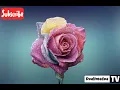 Download Lagu DJ Remix Full Bass - Kabhi Shaam Dhale To Mere Dil Mein Aa Jana (Mahalakshmi Lyer)