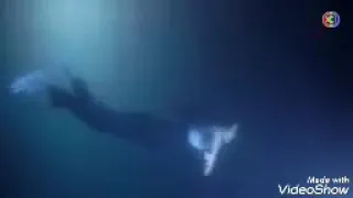 مسلسل زوجي في القانون على أغنية لحن الموت 