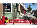 My Redbird life in Uptown Normal