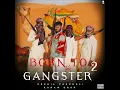 BORN TO BE GANGSTER 2 | SNEHIL PANCHOLI | KARAM BRAR | #trendingsong