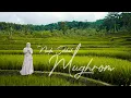 Download Lagu NADA SIKKAH - Sholawat MUGHROM ( cover )