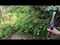 Third part upper trail in Lynn valley