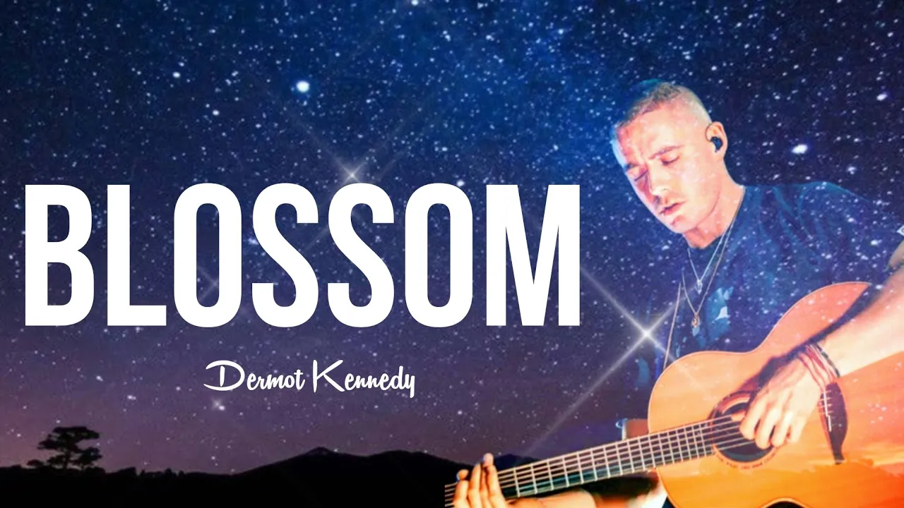 Dermot Kennedy - Blossom (Lyrics)