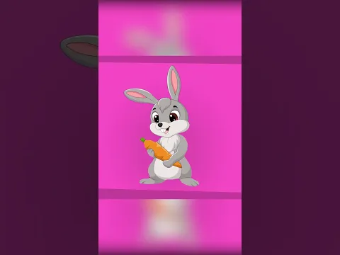 animal song