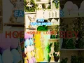 Hobby Lobby Easter Decor Walk-Through 2025 Easter Decorations Spring Finds
