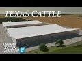 Big Flats Texas Cattle Ranch Massive silage harvest Lets Go