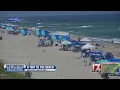 Where to take a beach vacation with your pet in NC this summer