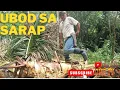 Download Lagu Kumuha Tayo ng ubod na gugulayin w/ Daddy Omz