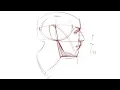 Lagu Simplified Head Construction - Drawing Tips