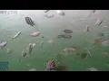 Okaloosa Island Pier Camera