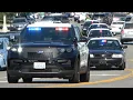 MAJOR Mass Casualty Shooting Response San Pedro