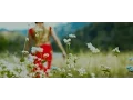 Download Lagu Karma Band - Kahile Kahi (New Version) - Official Music Video