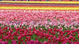 اناشيد دينية سبحان الله مصطفى قمر 