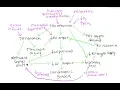 Pulmonary Hypertension in the Intensive Care Unit - Featuring the RV Death Spiral