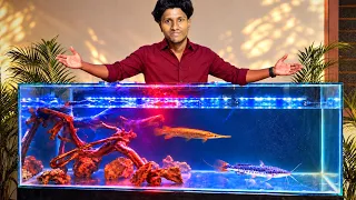Finally!😍🔥Our 7FT MONSTER Tank Is Ready! 😱/JENISH KJ