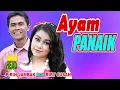 Download Lagu RABAB PASISIE \