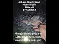 Download Lagu tiếng chàng nghịch chuẩn đánh đêm miễn phí cho anh em đăng ký kênh