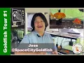 Goldfish Tour SpaceCityGoldfish 1 Stunning Patio