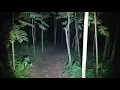 Download Lagu Youtuber Nyaris M4ti Di Lokasi Ini‼️Siluman Kadal Pemakan Korb4n