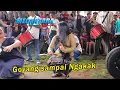 Lagu Goyang Bersama Penuh Sawearan// Megantara