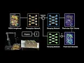 Video di TossingBot: Learning to Throw Arbitrary Objects with Residual Physics