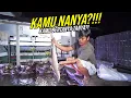 Download Lagu TONTON INI!!! SEBELUM MEMUTUSKAN PELIHARA IKAN HIU - PREDATOR GANAS AIR LAUT!!!