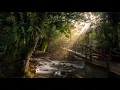 Joey Pecoraro - Music for Happiness [for some reason not the Full Album]