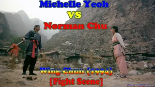  shion all fights scenes michelle yeoh vs norman chu 