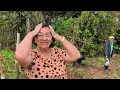 Download Lagu MÃE VAI PRECISAR PASSAR ALGUNS DIAS FORA DE CASA + COLHEMOS ALGUMAS COISAS PRA MÃE LEVAR 