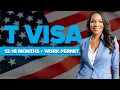 T Visa Processing Timeline How Long to Expect in 2024 ST Law Office