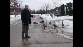 الفنان محمد السامر موال مقام الدشت لاول مره يعرض 