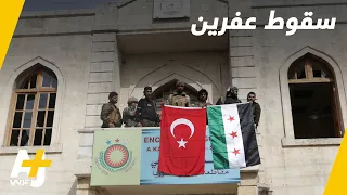 غصن الزيتون في قلب عفرين 