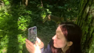 Возвращение выпуск зайчат в природу - Вереята и Ручейки