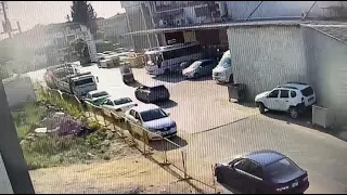                     دندنها