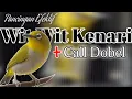 Download Lagu MASTERAN PLECI WIT WIT KENARI (call dobel) variasi