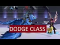 Class that can dodge every attack AQW