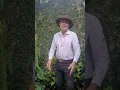 Lagu CANCIONES DEL CAMPO. ( Vicente Balcárcel)