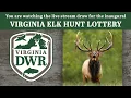 Elk Hunt Drawing Premiere 2022