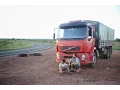 Download Lagu A Beira do Caminho  -  FILME COMPLETO (BRA)