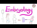 Introduction to Embryology - Learn the Basics
