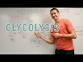 Glycolysis Explained Aerobic vs Anaerobic Pyruvate Gluconeogenesis