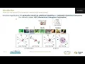 WACV 2025 ORAL HEX Hierarchical Emergence Exploitation in Self Supervised Algorithms