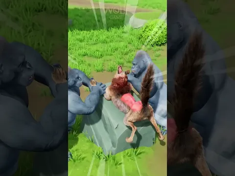 Lobo Busca Reinar La Selva