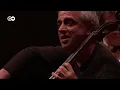 Haydn: Cello Concerto No. 2 | Giovanni Sollima, Giovanni Antonini & Royal Concertgebouw Orchestra