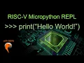 Risc-V Micropython Repl