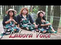 Download Lagu SAPATA NI NATARHIRIM-Cipt:EVARIDA RAJAGUKGUK (LABORA VOICE)