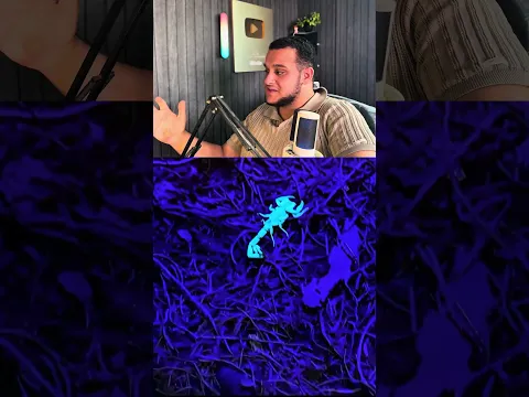 أنتبه من العقرب😨
